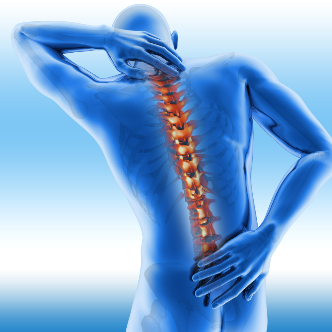 Best Spine Surgery in India