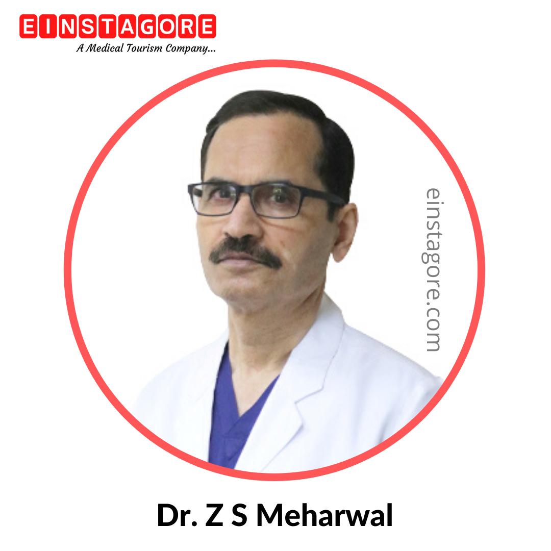 Dr. Z S Meharwal profile